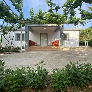 Progon House Tepelene